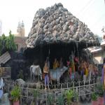 Vraj-Yatra-2014- (380)